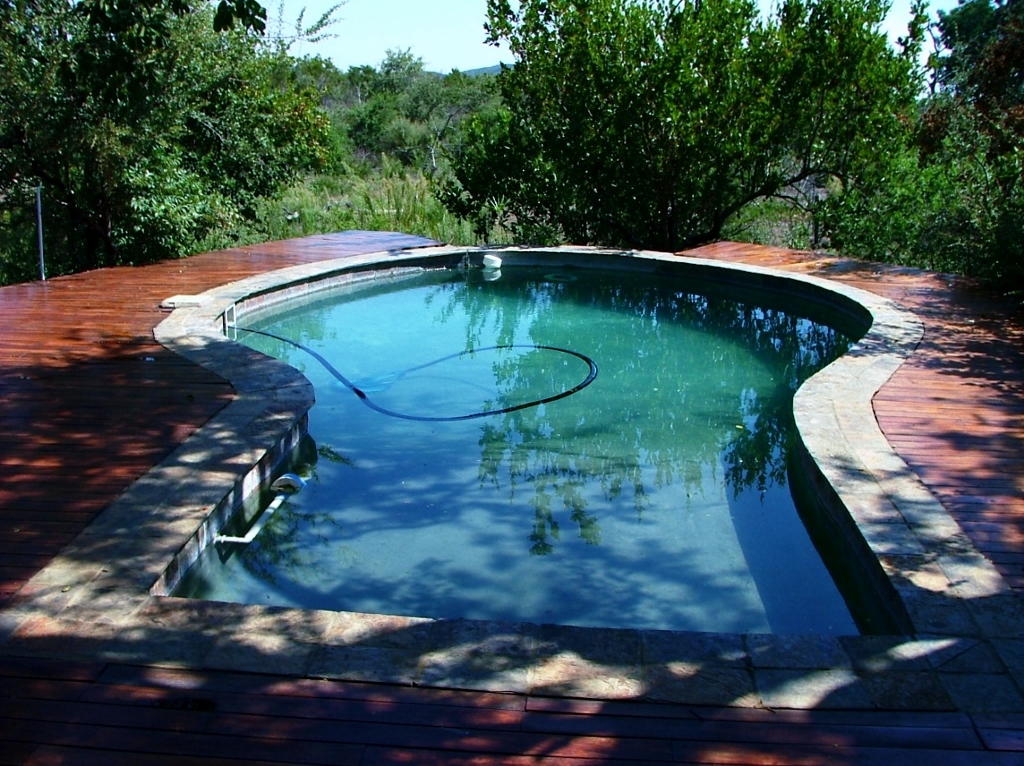 Kukama lodge's swimming pool